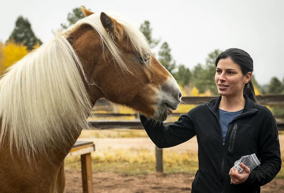 Lady pets horse during therapy