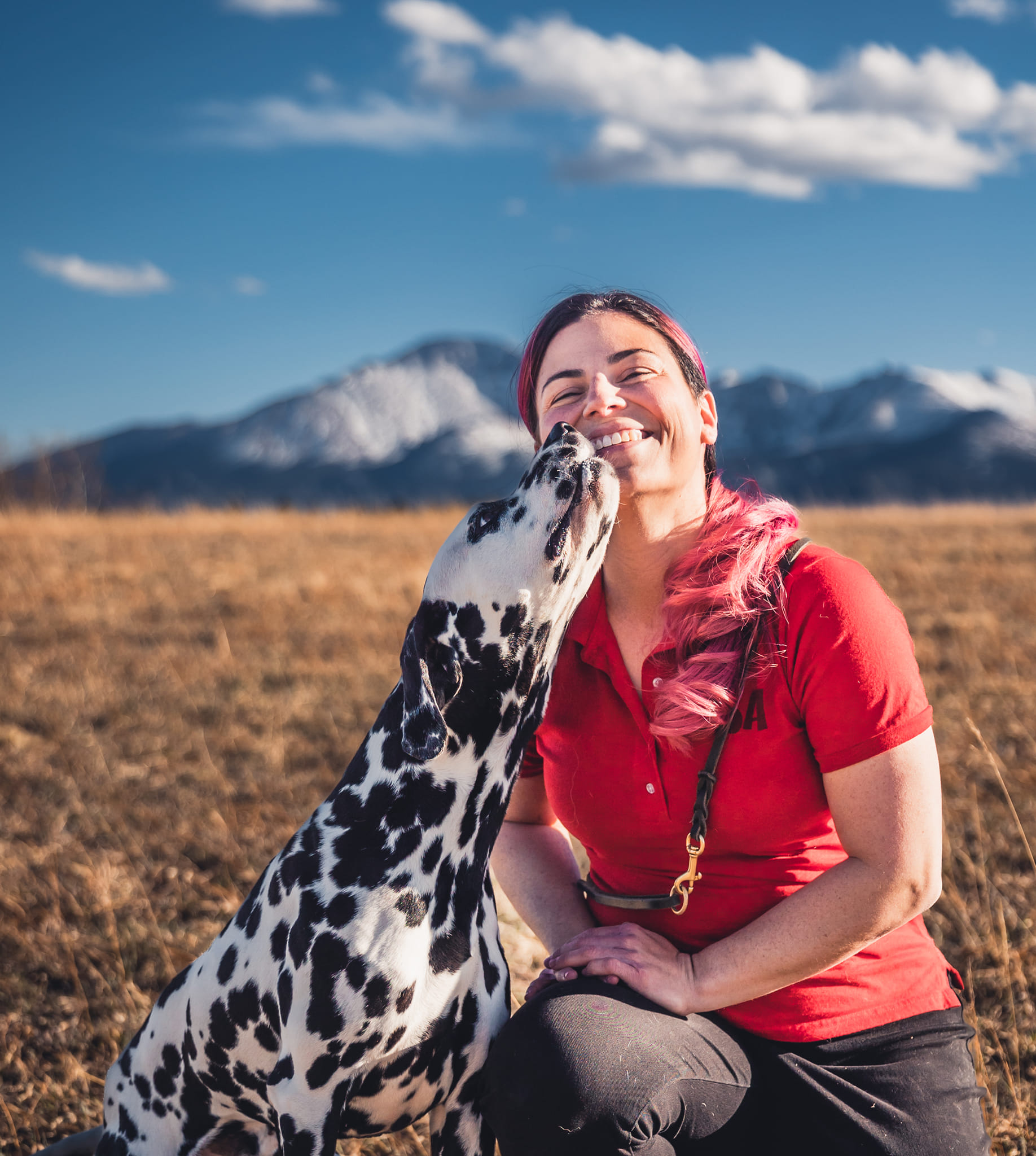 Dalmatian shows affection for its trainer in outdoor setting 