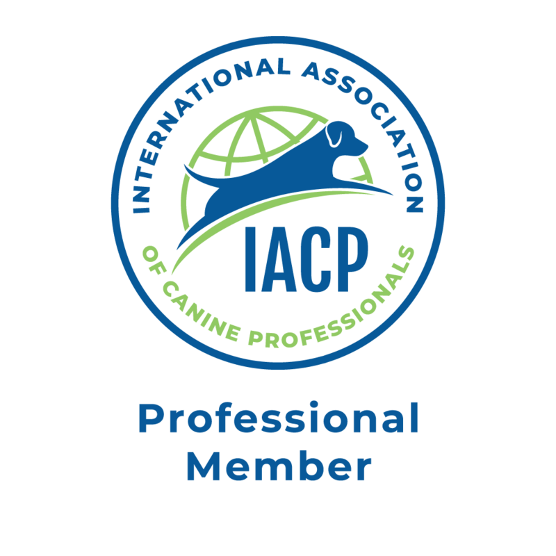Best of Teller IACP Professional Member