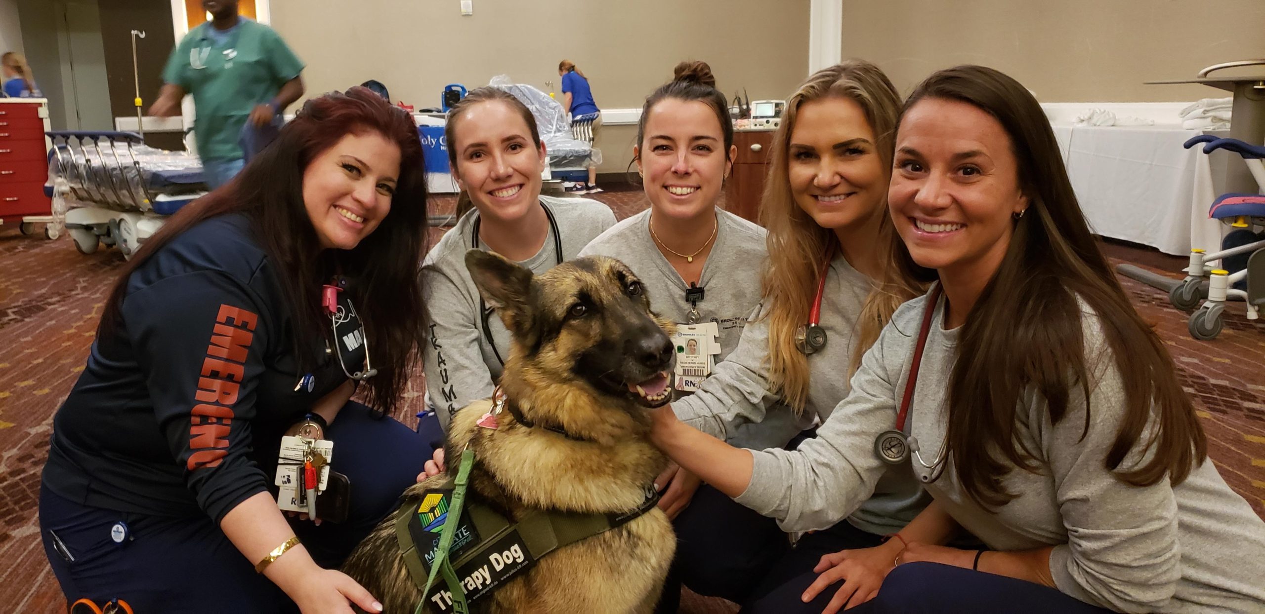 Therapy dog hangs out with a crowd