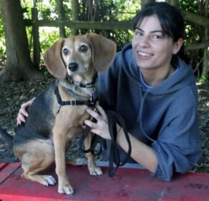 Beagle provides emotional support 