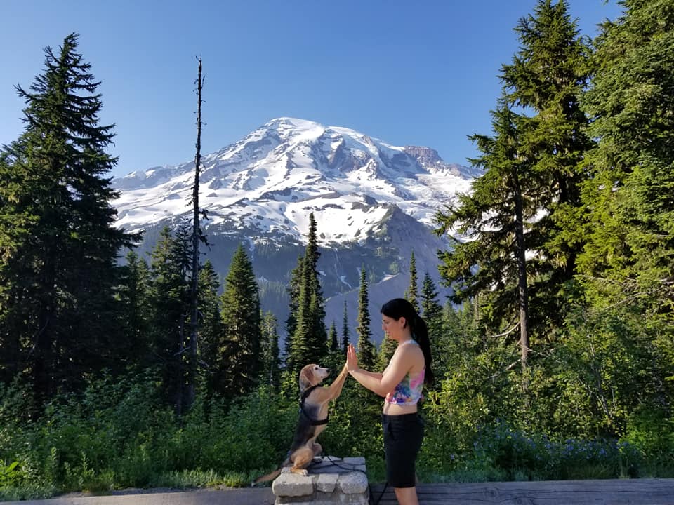 Service dog and trainer high five in front of mountain
