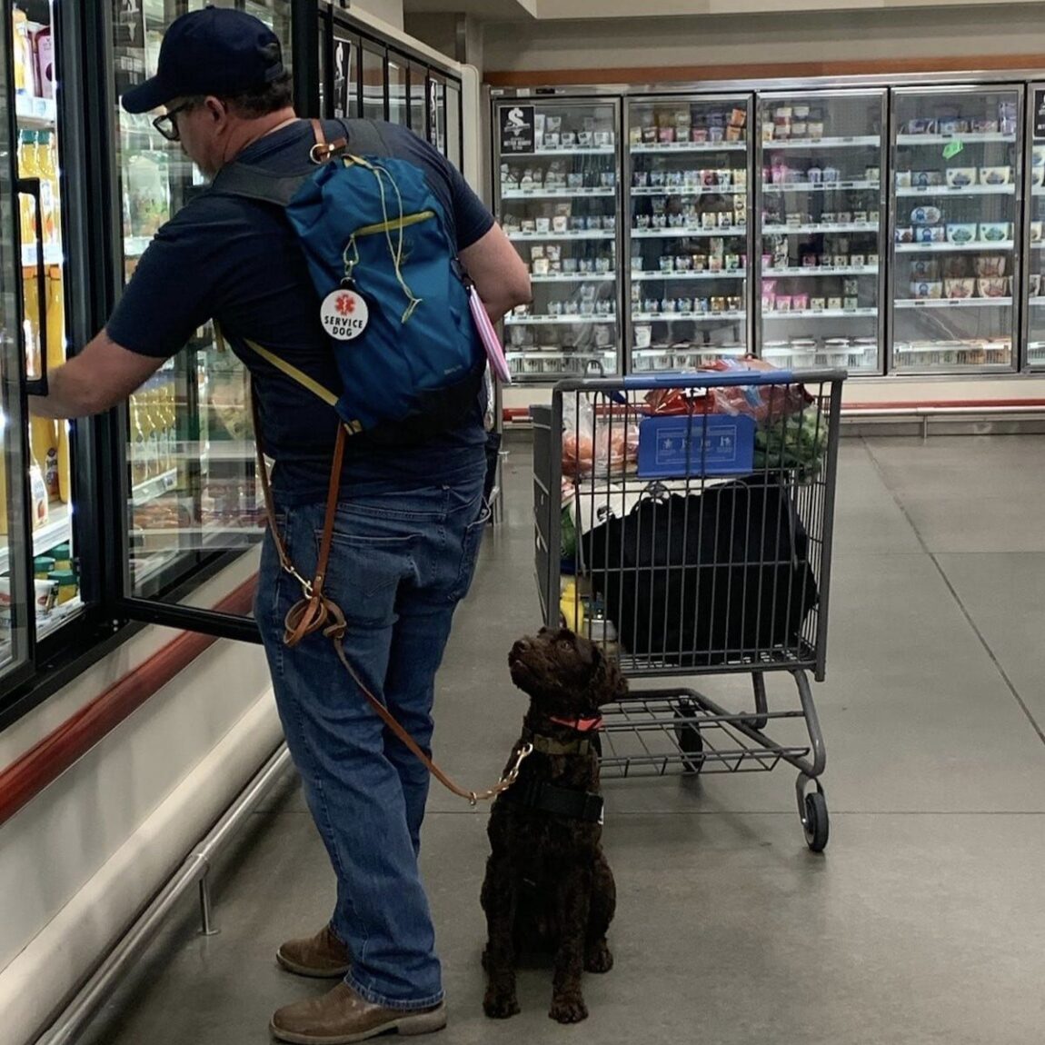 Client handles service dog in a supermarket during an in-person training session