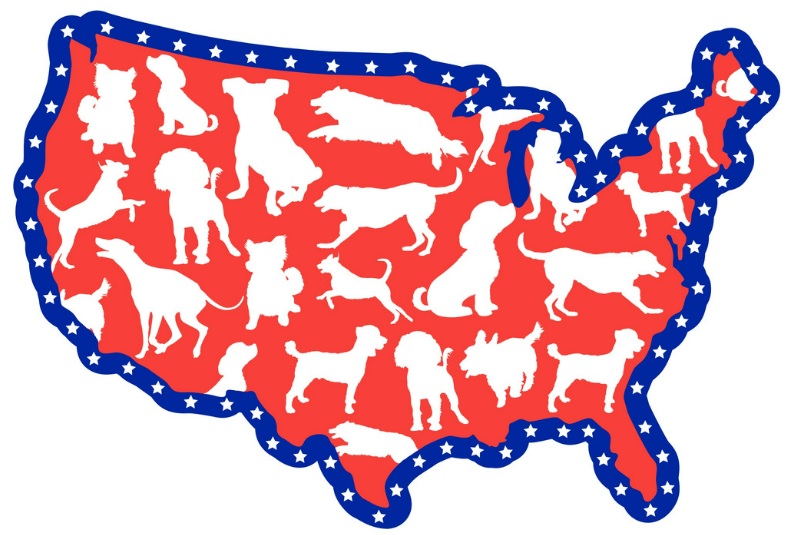 A US map with dog silhouettes in it