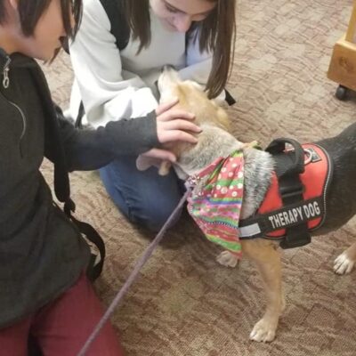 A therapy dog (beagle) works with kids who are petting it. 