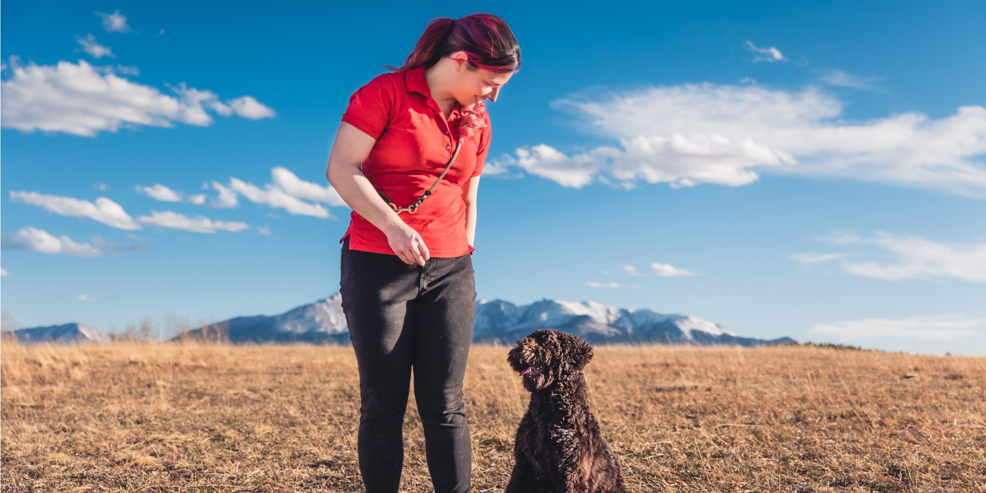 Star the Psychiatric service dog minds her dog trainer