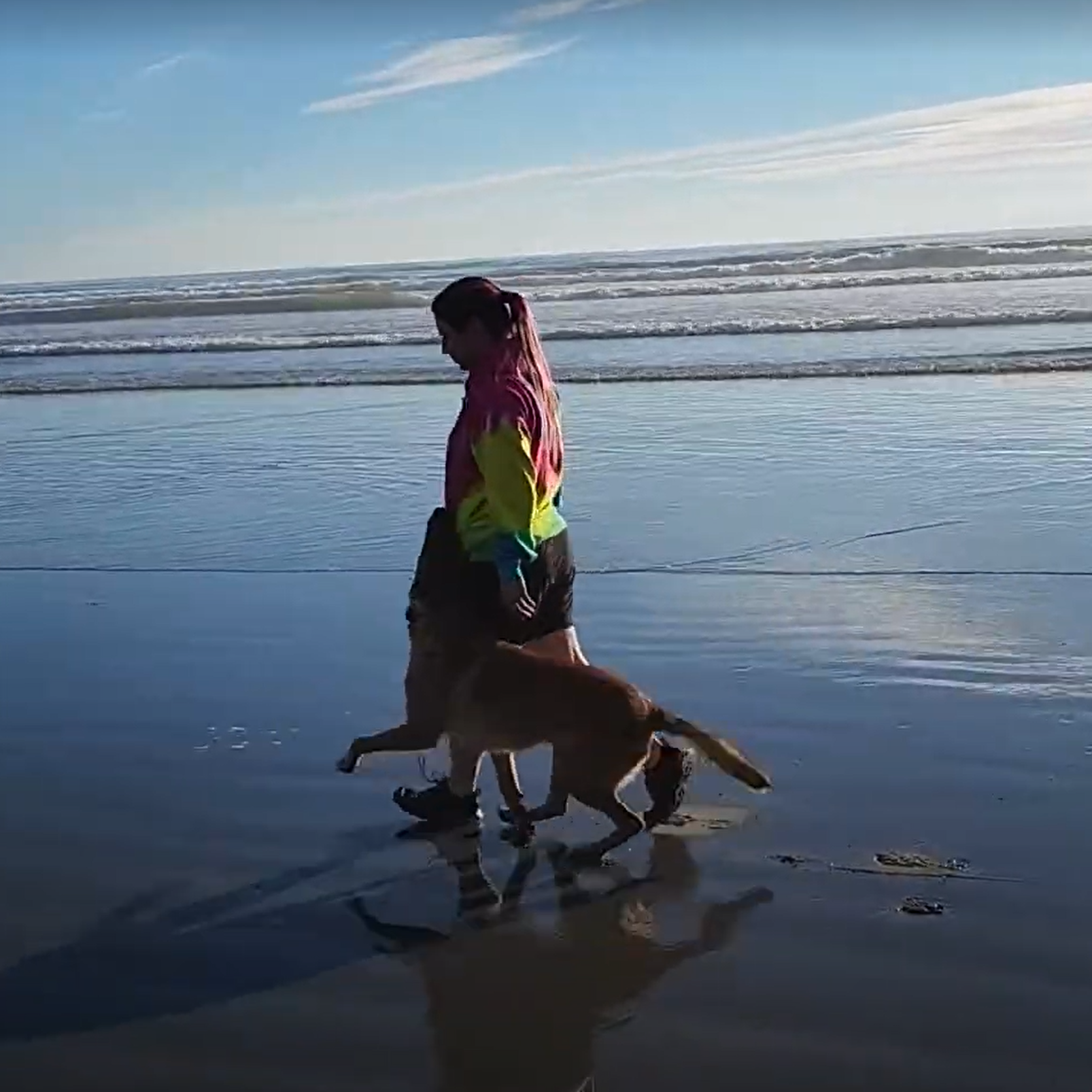 Service dog trains with trainer in a beach during sunset
