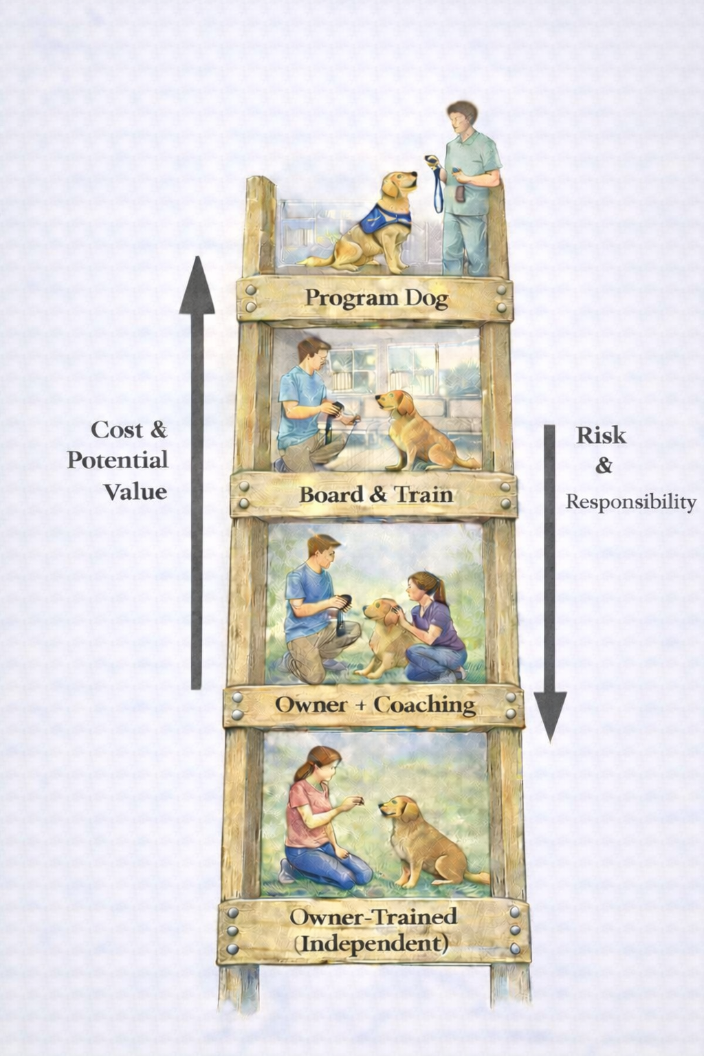 Service Dog Training Paths Cost and Risk