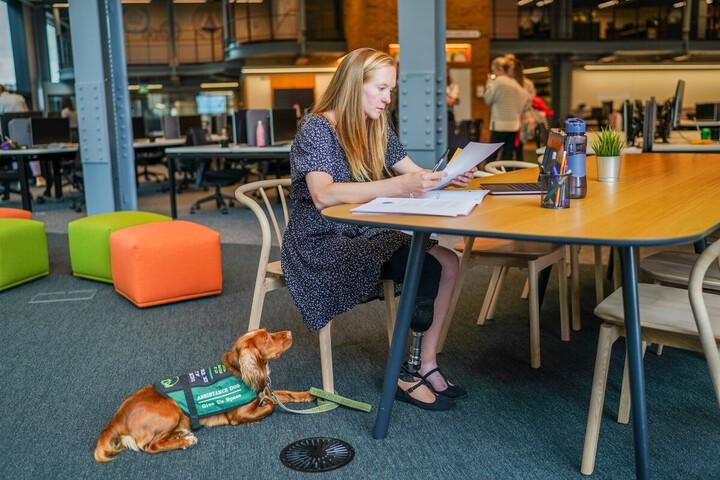 Service Dog Rights: Workplace 4 Service Dogs in the Workplace - Reasonable Accommodation