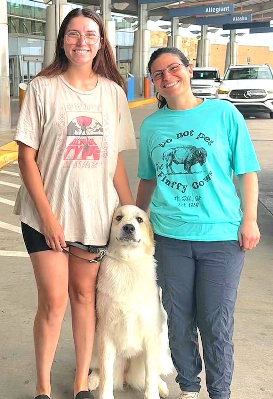  Basil Medical Alert and Response Service Dog